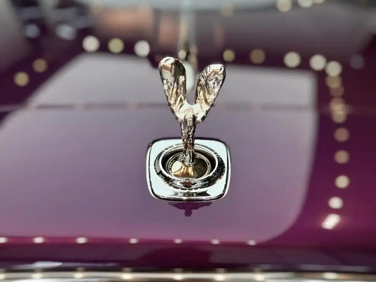 2018 Phantom 6.6T Standard Edition — миниатюра 22