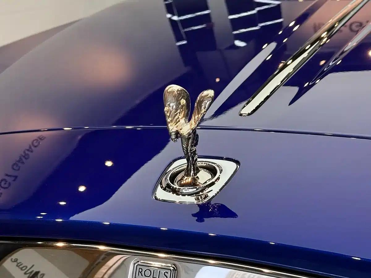 2018 Phantom 6.6T Standard Edition — миниатюра 24