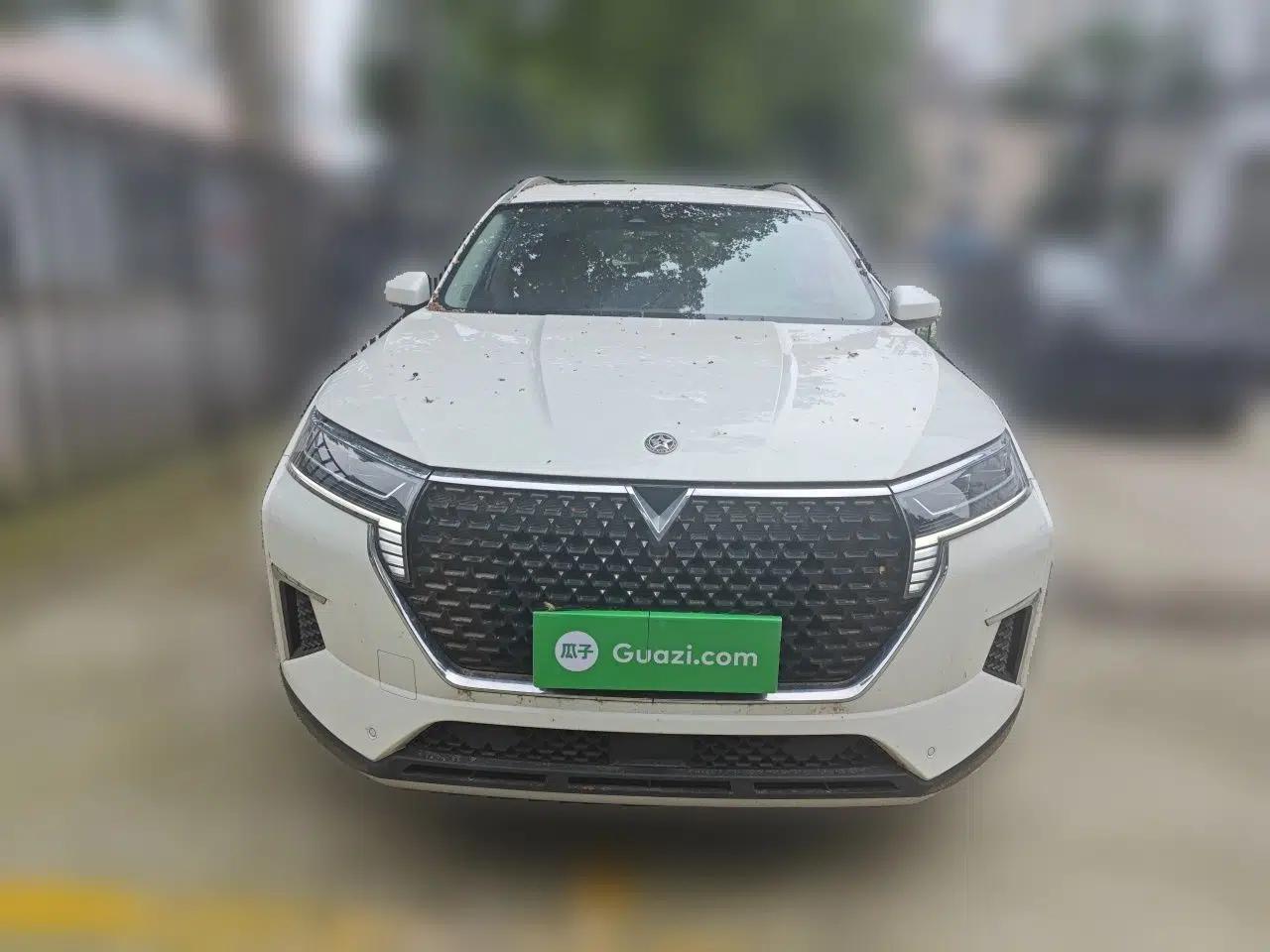 Venucia Star 2020 260T Automatic 48V Mild Hybrid Turbocharged Star Edition — миниатюра 2
