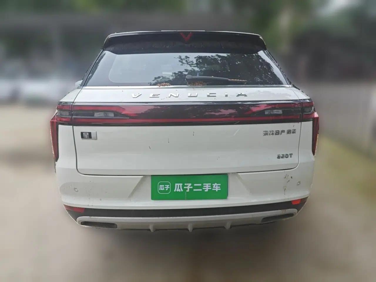 Venucia Star 2020 260T Automatic 48V Mild Hybrid Turbocharged Star Edition — миниатюра 5