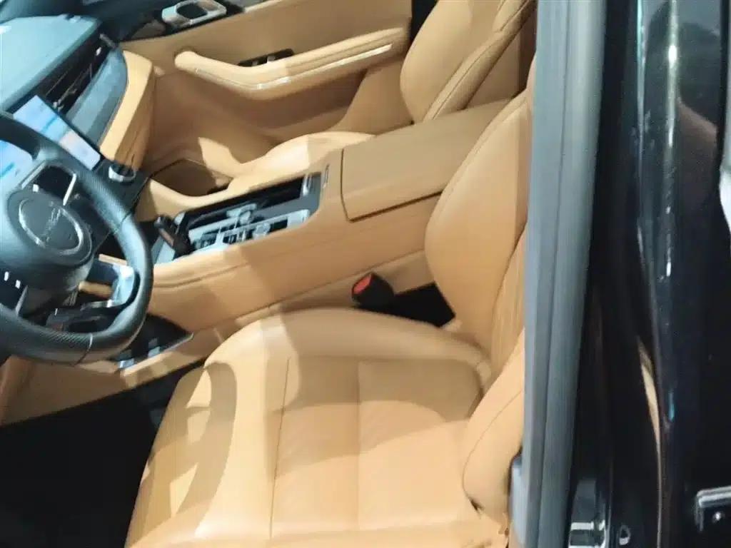 Lynk & Co 09 EM-P 2023 2.0TD EM-P AWD Asian Touring Administrative Edition 5-seater — миниатюра 15