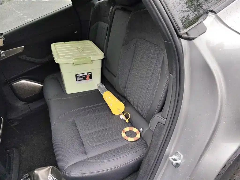 Chevrolet L60 2025 85kWh Rear-Wheel Drive — миниатюра 14