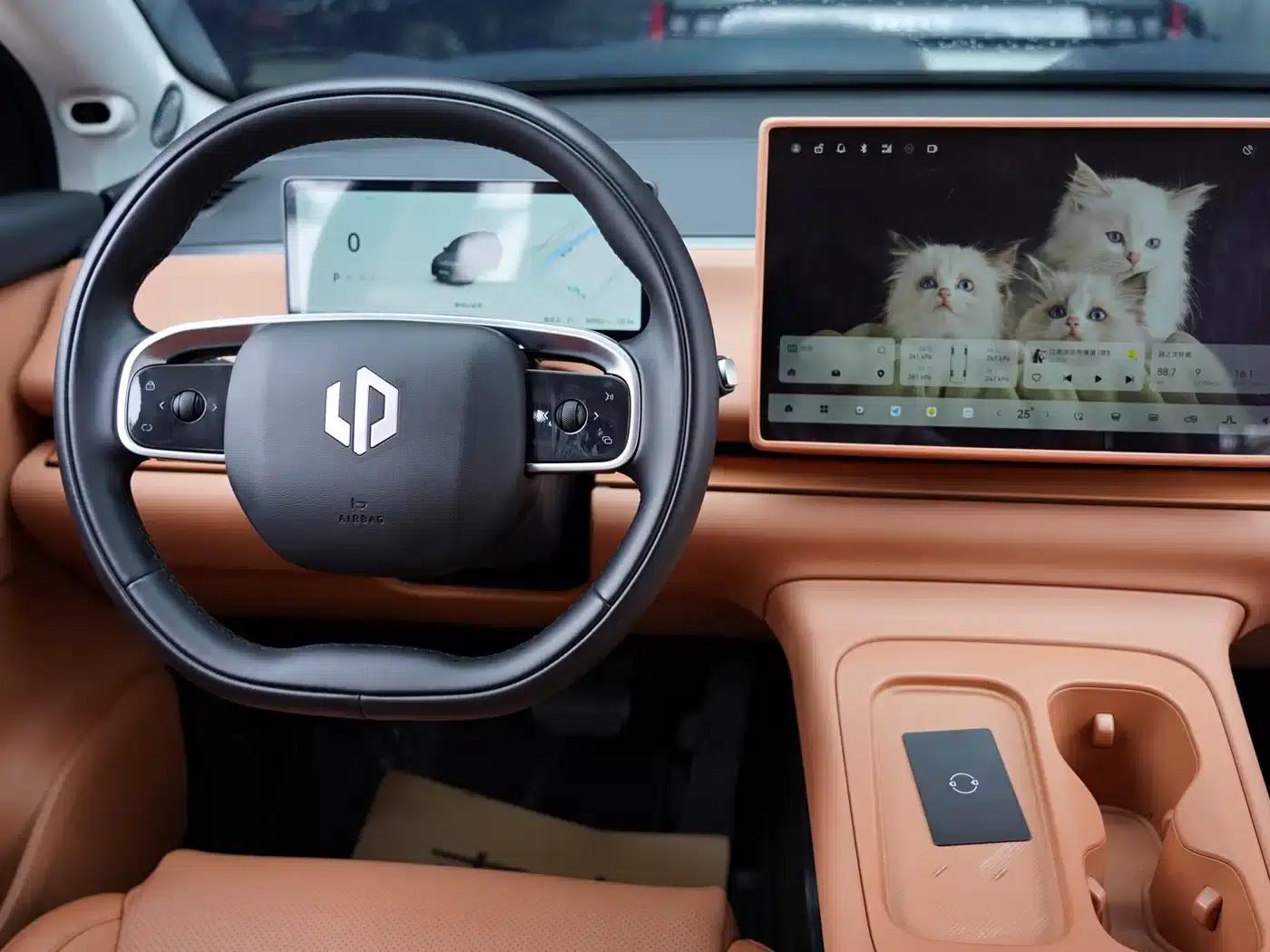 Leapmotor C16 2024 Range Extended 200 Premium Edition — миниатюра 9