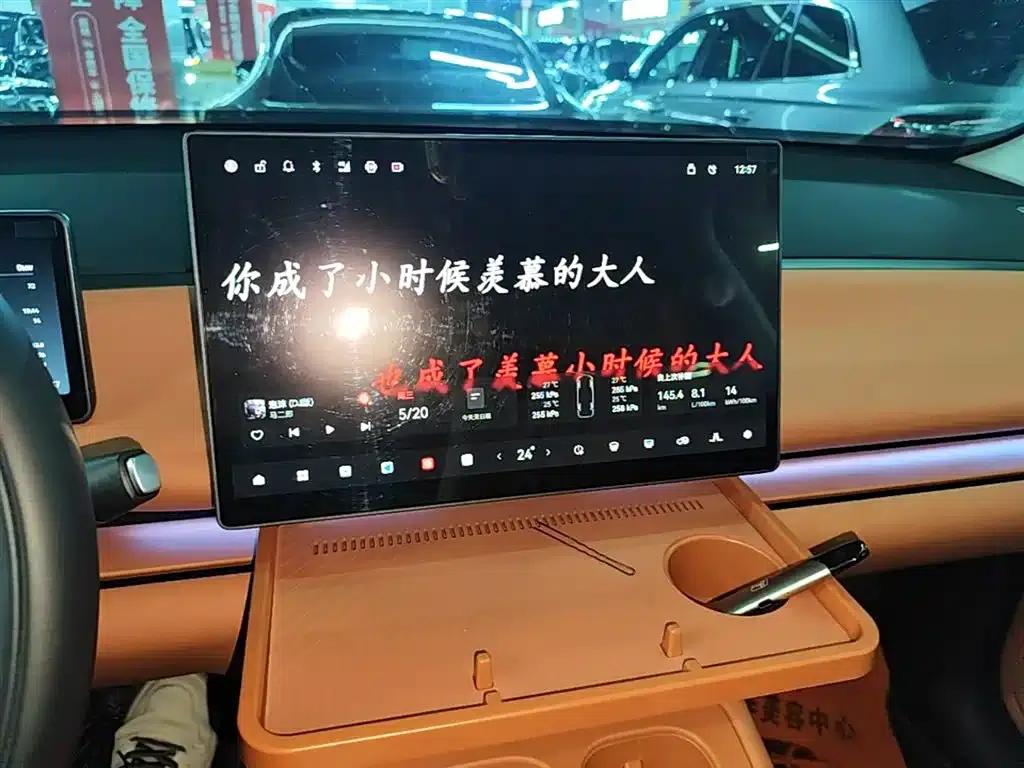 Leapmotor C16 2024 Range Extended 200 Premium Edition — миниатюра 13