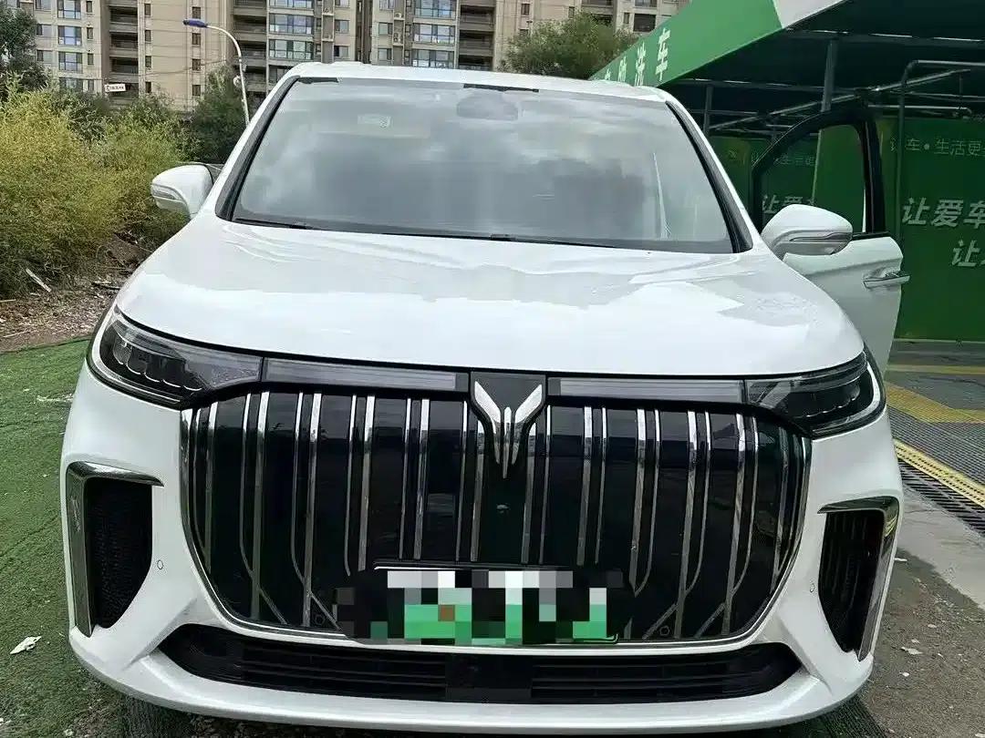 Voyah Dreamer 2022 Zero Carbon Edition (Home + Range Package): 605km — миниатюра 7