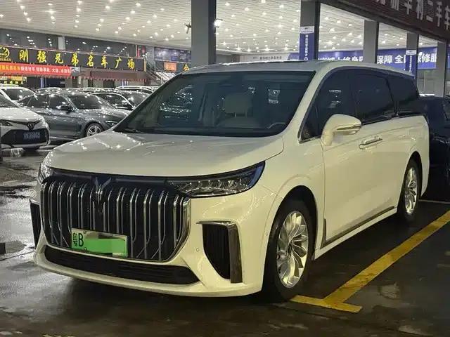 Voyah Dreamer 2024 PHEV Extended Range Premium Edition