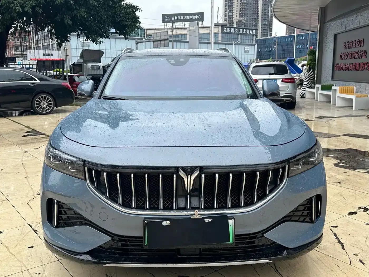Voyah FREE 2021 AWD Standard Range Extender Exclusive Luxury Package — миниатюра 2