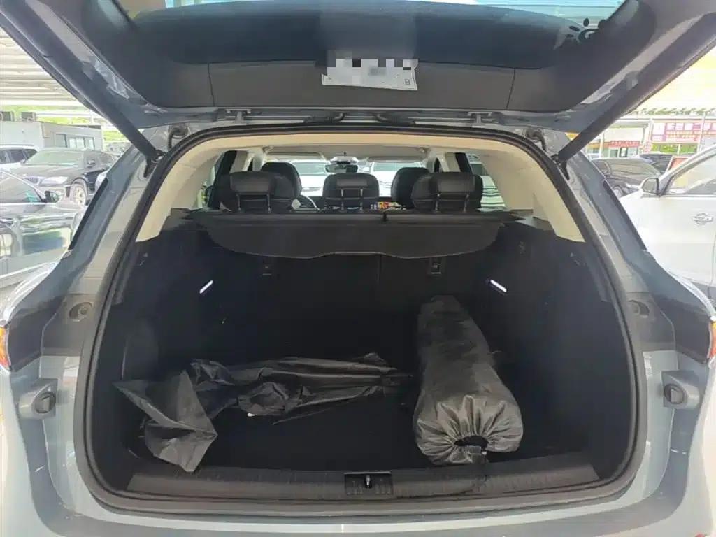 Voyah FREE 2021 AWD Standard Range Extender Exclusive Luxury Package — миниатюра 19
