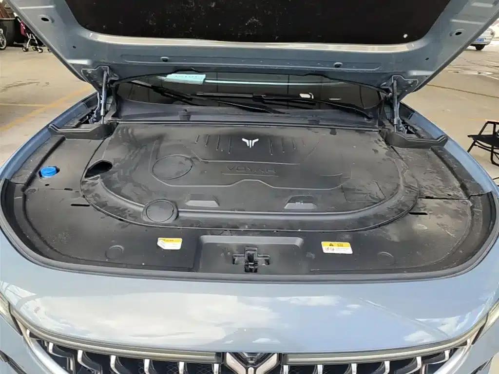 Voyah FREE 2021 AWD Standard Range Extender Exclusive Luxury Package — миниатюра 20