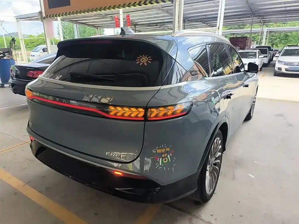 Voyah FREE 2021 AWD Standard Range Extender Exclusive Luxury Package — миниатюра 7
