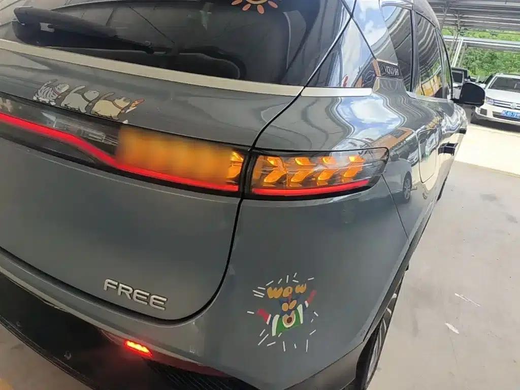Voyah FREE 2021 AWD Standard Range Extender Exclusive Luxury Package — миниатюра 8
