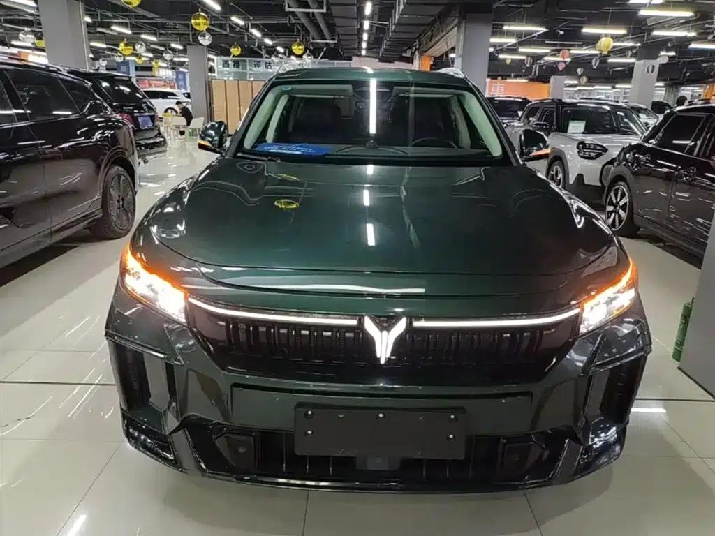 Voyah Free 2024 Model - Extended Range Intelligent Driving Edition — миниатюра 3