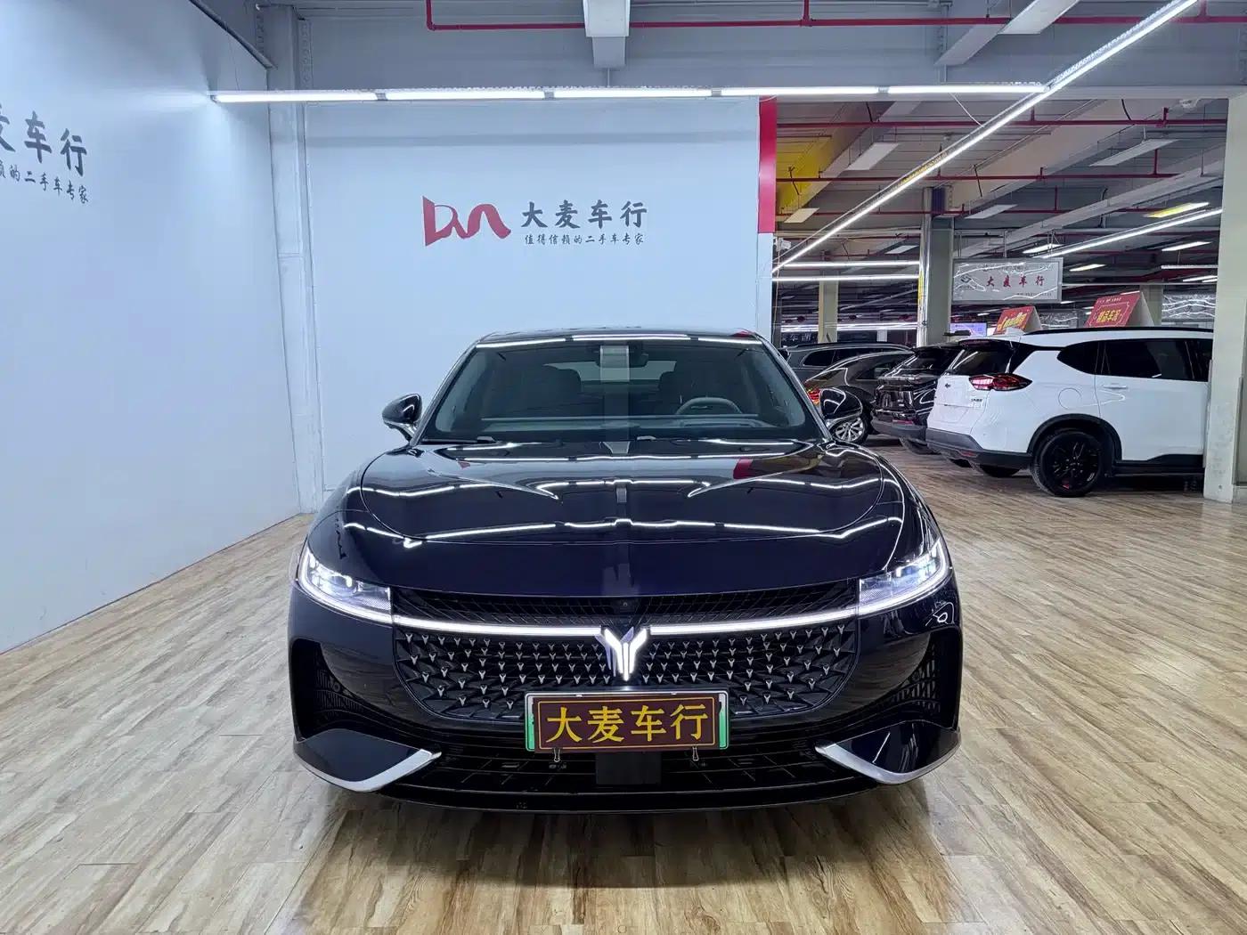 Voyah Chasing the Light 2024 PHEV AWD Long Range Flagship Edition — миниатюра 2
