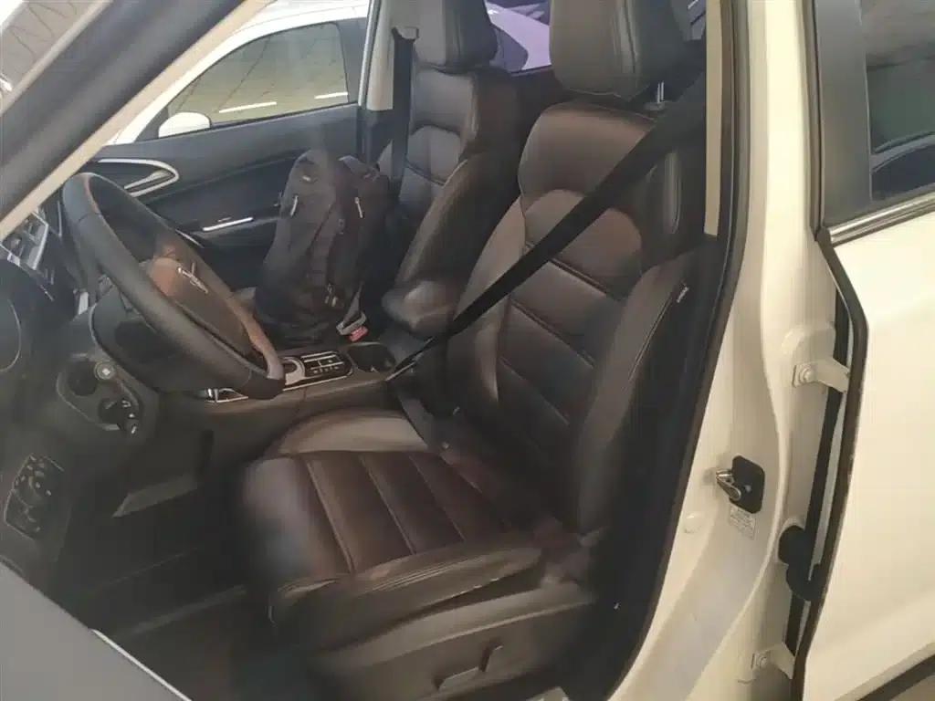 2015 GS 2.0TGI TST Luxury Edition — миниатюра 15