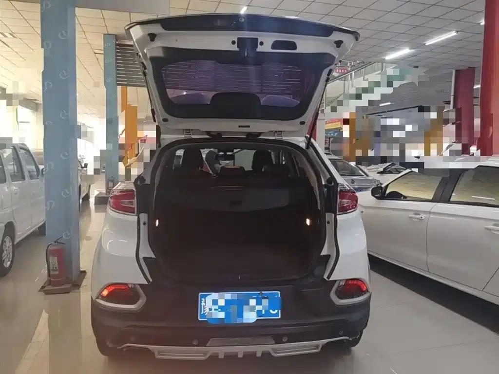 2015 GS 2.0TGI TST Luxury Edition — миниатюра 19