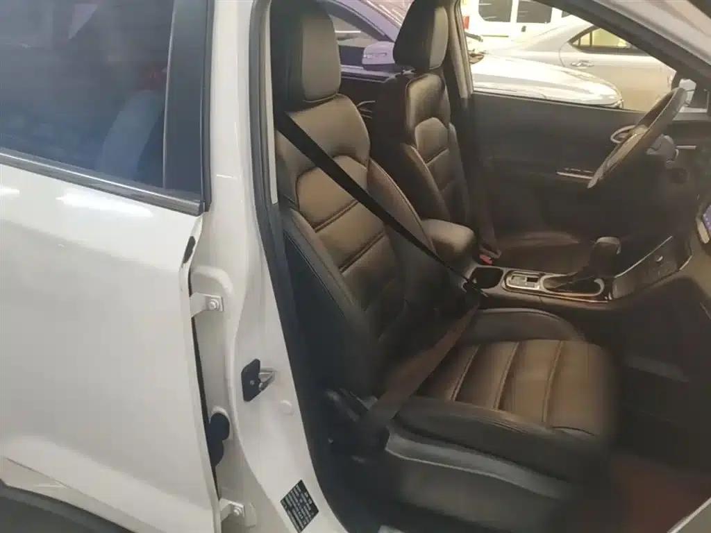 2015 GS 2.0TGI TST Luxury Edition — миниатюра 25