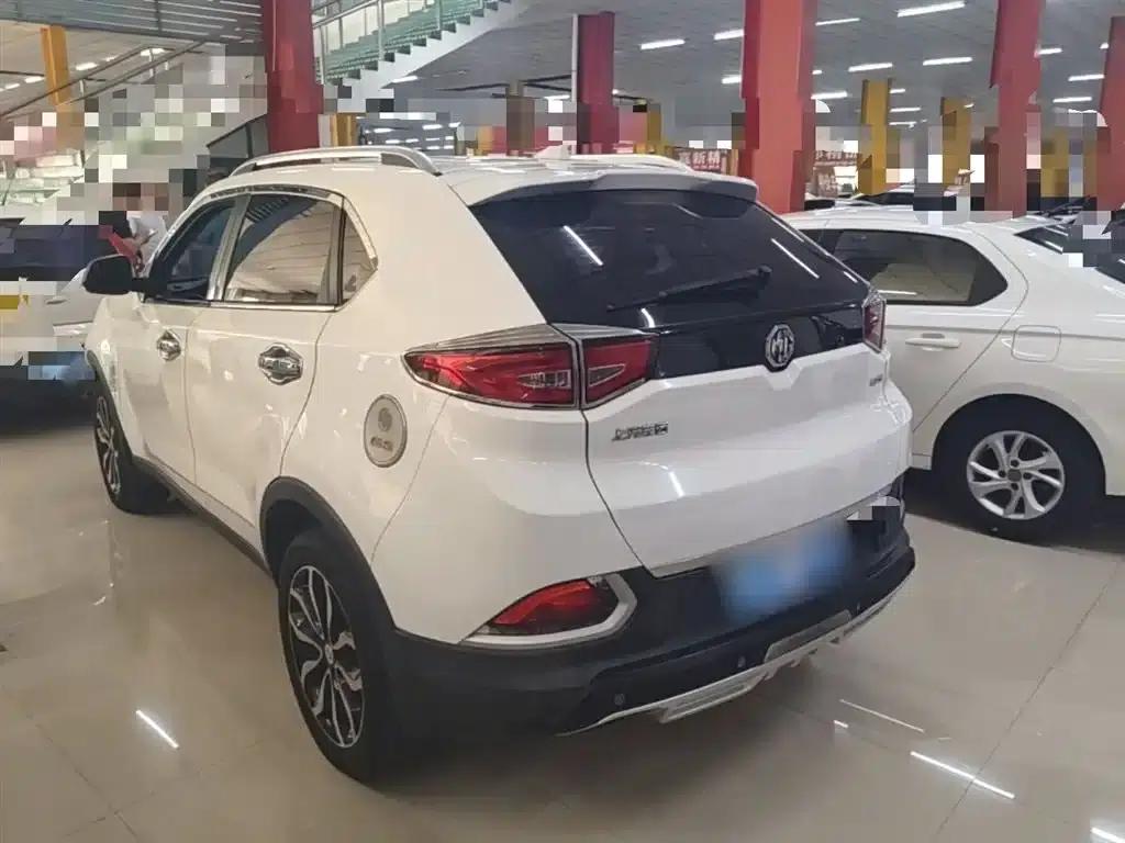 2015 GS 2.0TGI TST Luxury Edition — миниатюра 5