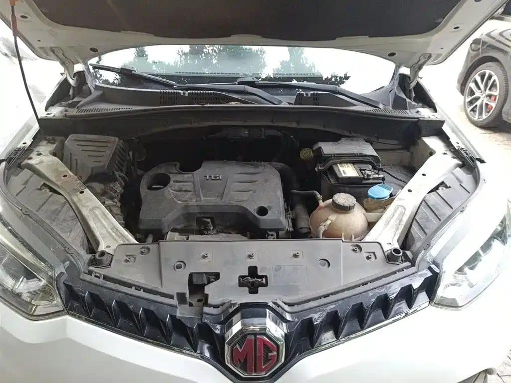 2016 GS 1.5TGI TST Luxury Edition — миниатюра 11