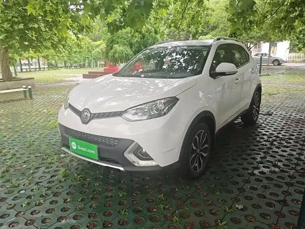 2016 GS 1.5TGI TST Luxury Edition — миниатюра 1