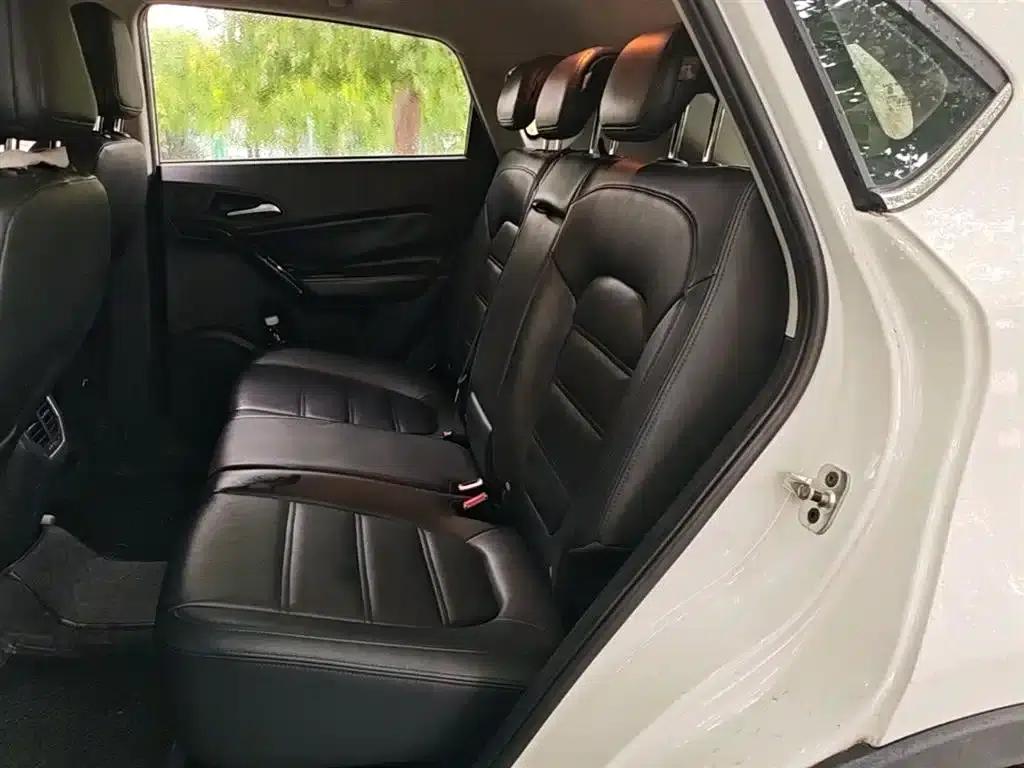 2016 GS 1.5TGI TST Luxury Edition — миниатюра 17