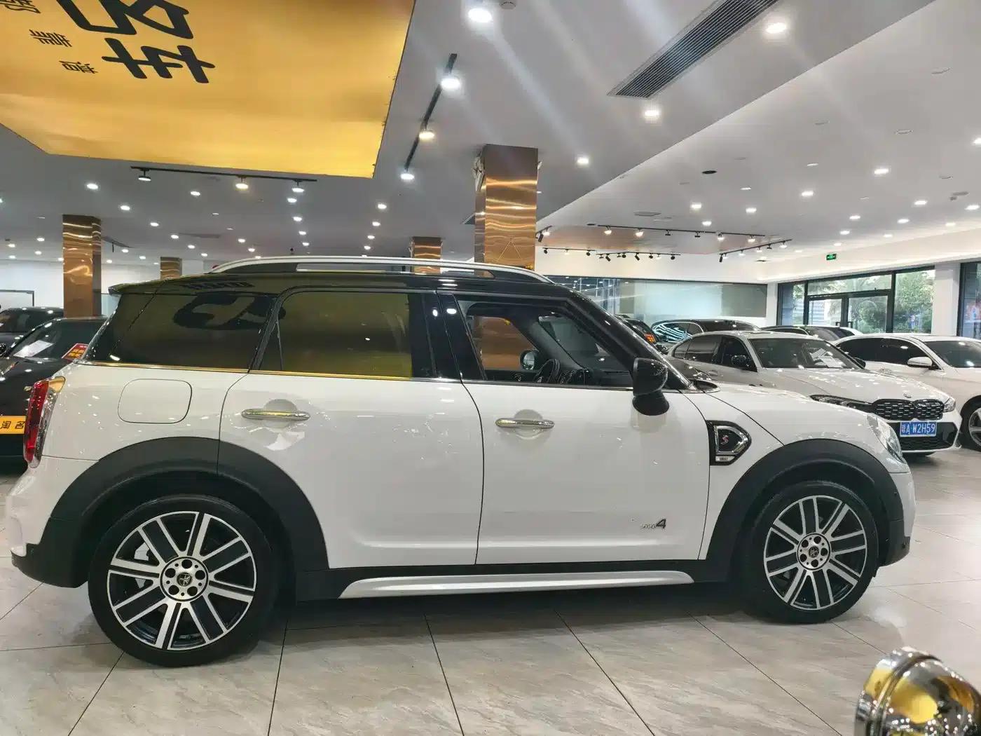 2019 MINI COUNTRYMAN 2.0T COOPER S ALL4 Artist — миниатюра 4