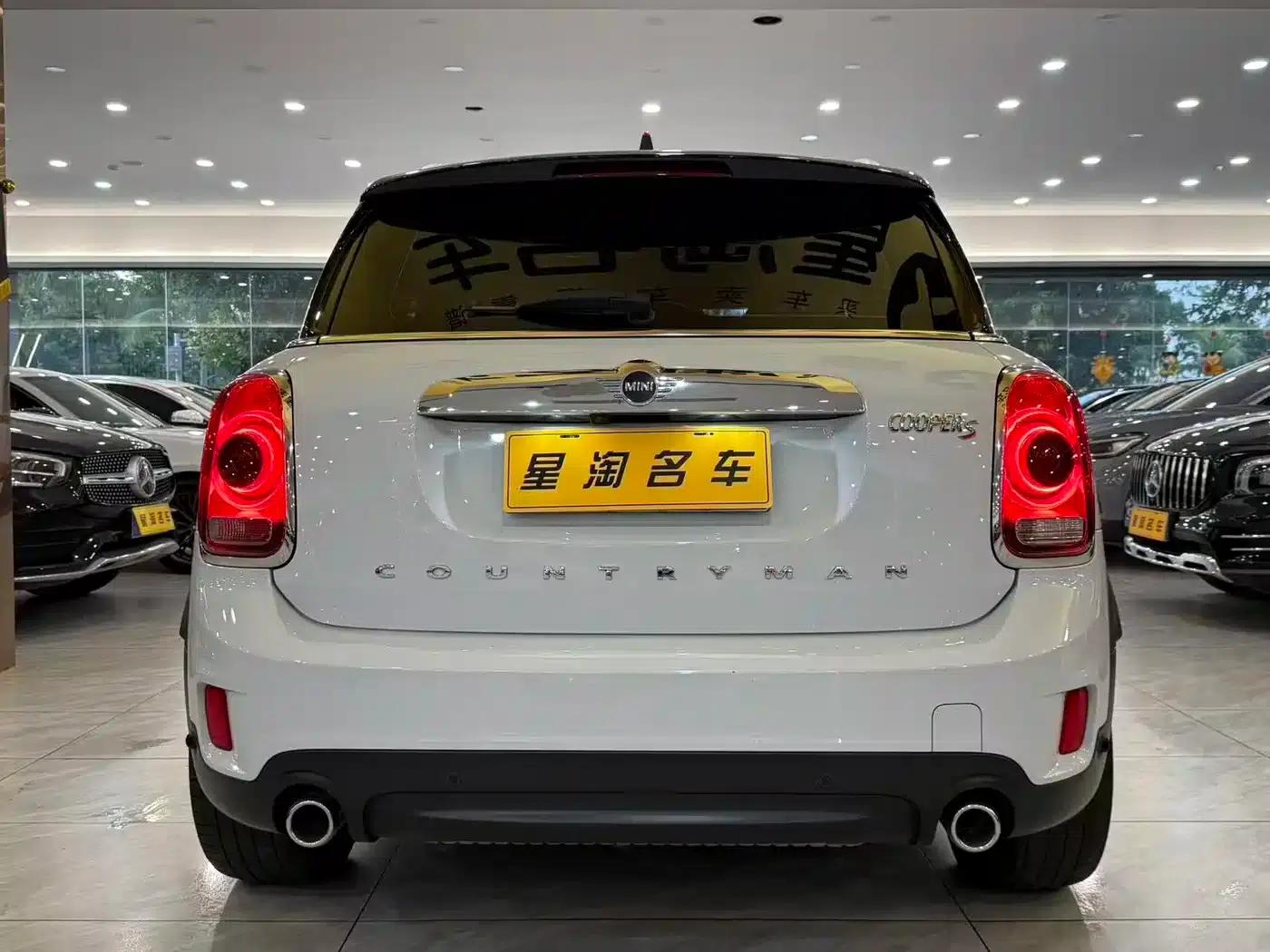 2019 MINI COUNTRYMAN 2.0T COOPER S ALL4 Artist — миниатюра 5