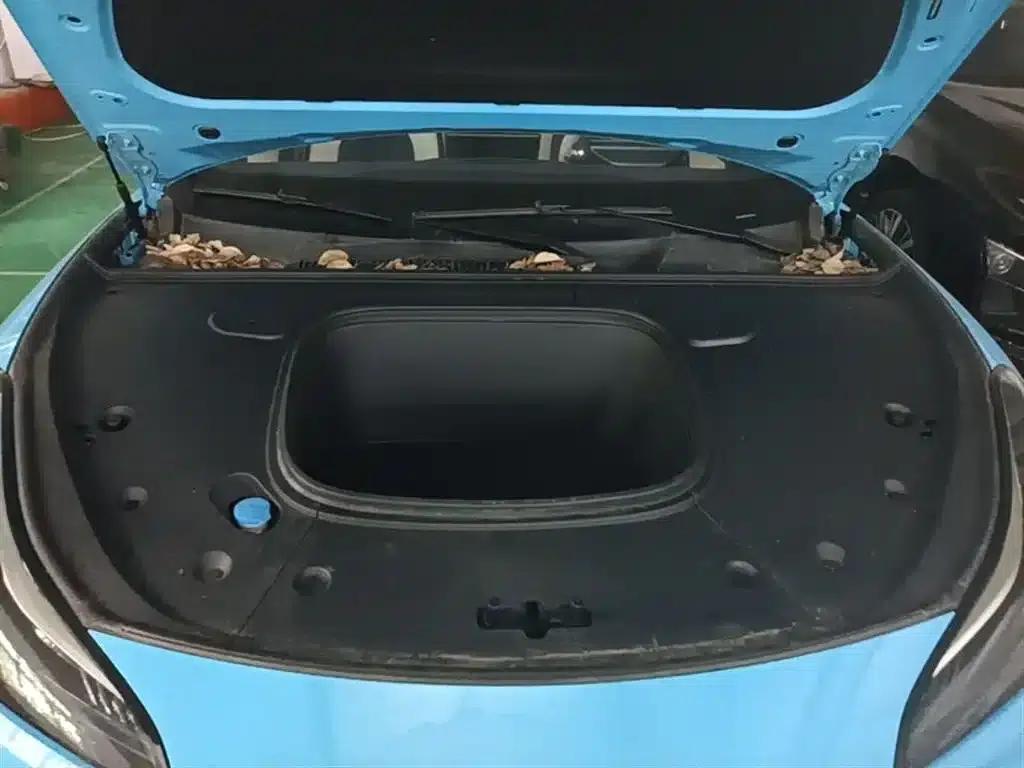 Nezha GT 2023 560 Lite — миниатюра 16