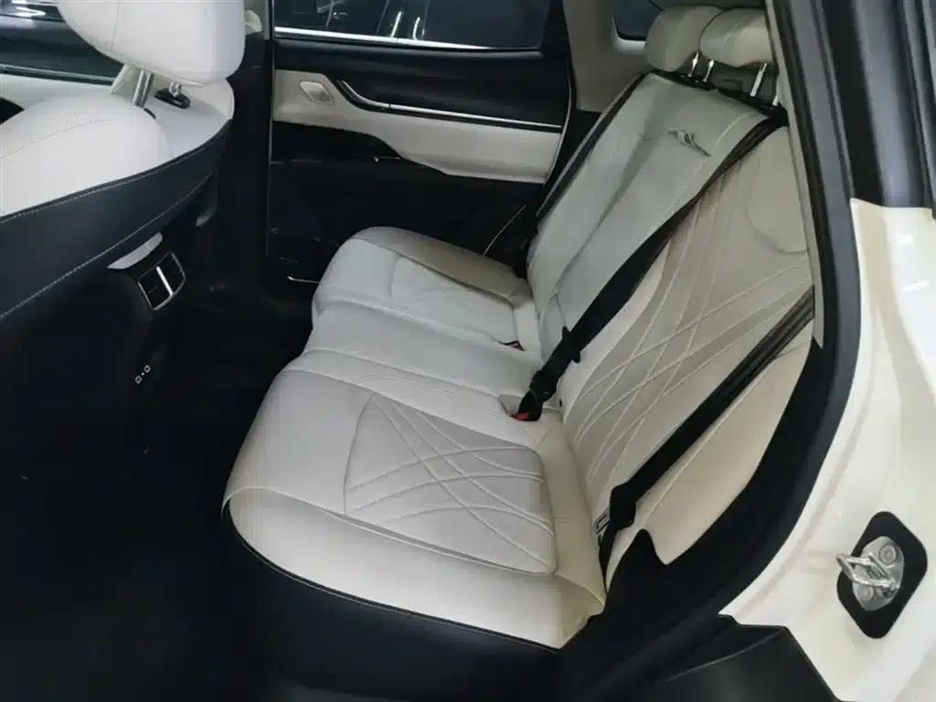 Chery Comfort Family 2024 Model 512km Joyful Travel Edition — миниатюра 17