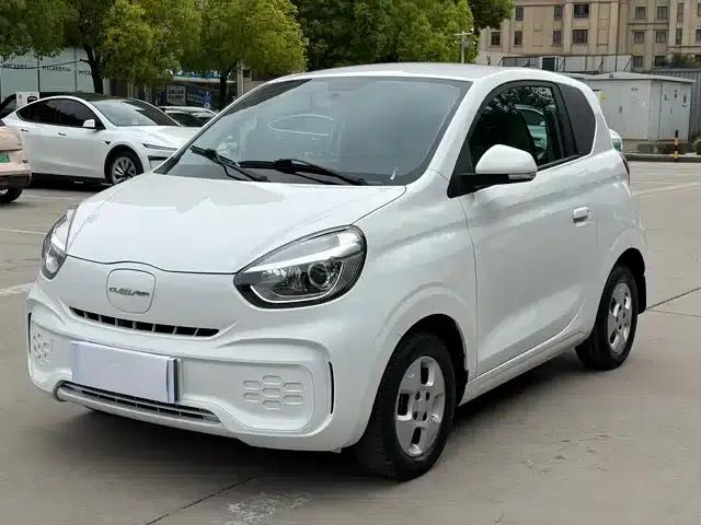 CLEVER 2021 Model 302km Premium Edition