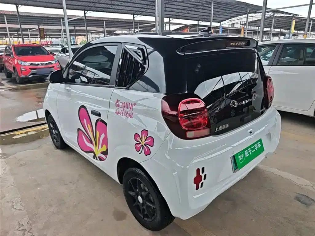 CLEVER 2022 Model 311km Energy Bobo Edition — миниатюра 5