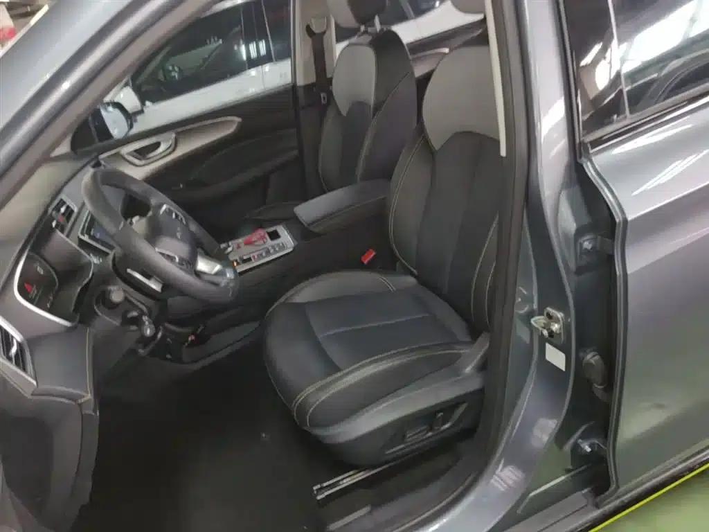 Roewe RX5 New Energy 2020 ePLUS National Trend Ronglin Flagship Edition — миниатюра 15