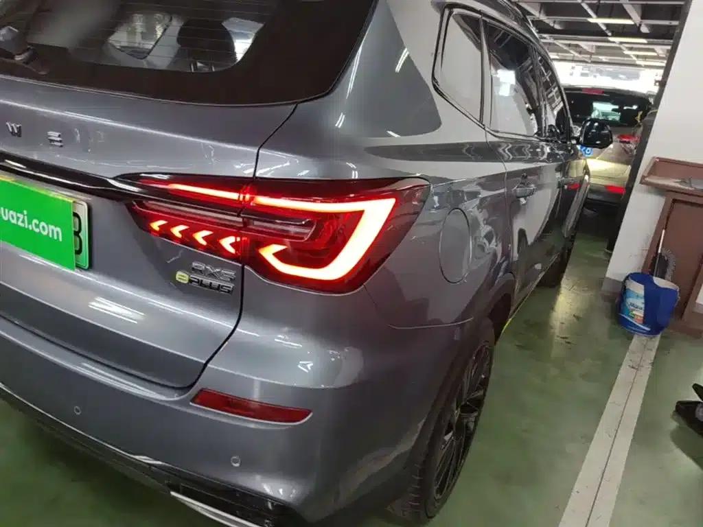 Roewe RX5 New Energy 2020 ePLUS National Trend Ronglin Flagship Edition — миниатюра 8