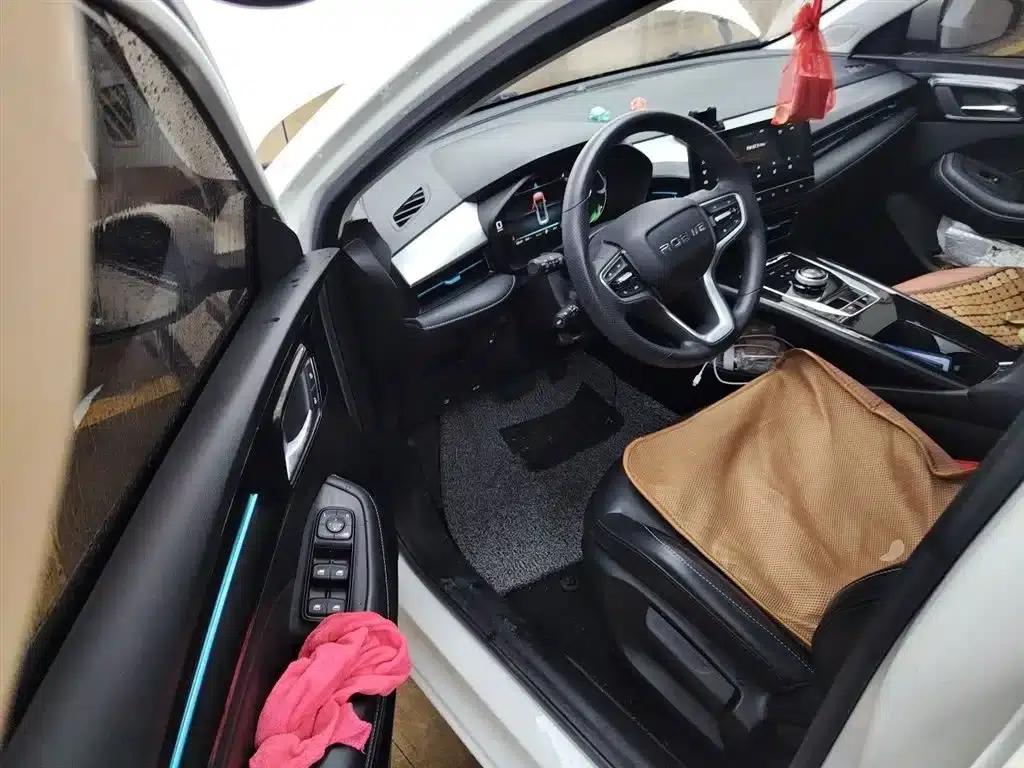 Roewe Ei5 2021 500 Heartfelt Edition — миниатюра 14