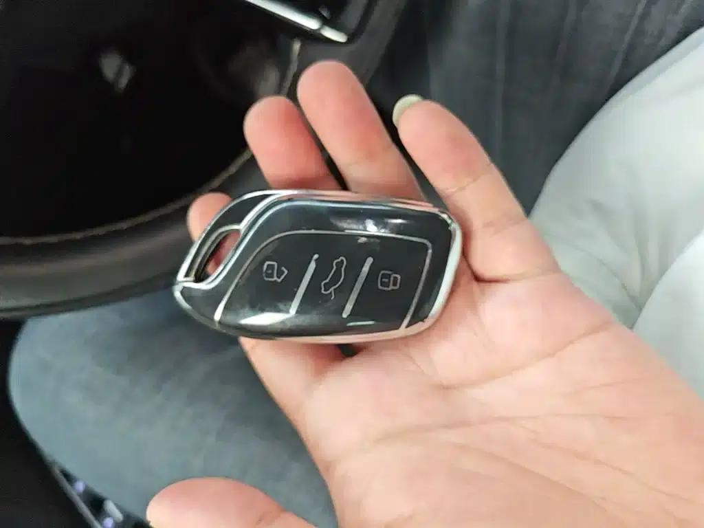 Roewe RX5 MAX 2022 1.5T Automatic Luxury Edition — миниатюра 9