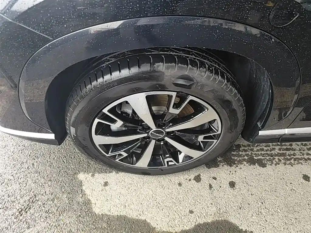 Roewe D5X DMH 2024 Model 135 Tech Edition — миниатюра 23