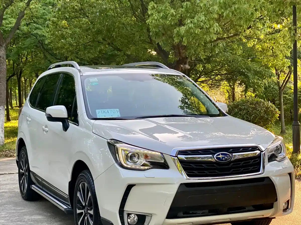 Forester 2016 2.5i Premium Navigation Edition — миниатюра 22