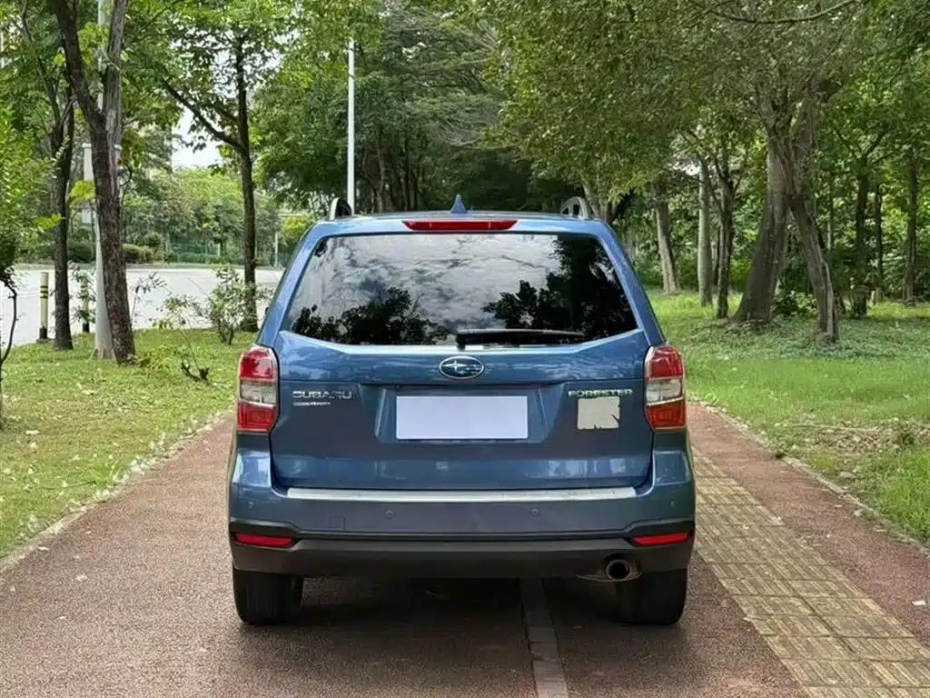 Forester 2013 2.5i Automatic Luxury Edition — миниатюра 5