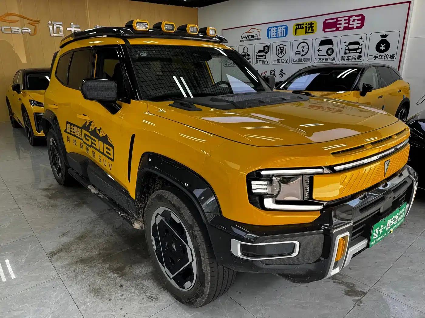 Deep Blue G318 2025 Worry-Free Crossing Edition 4WD Secret Realm Edition — миниатюра 12