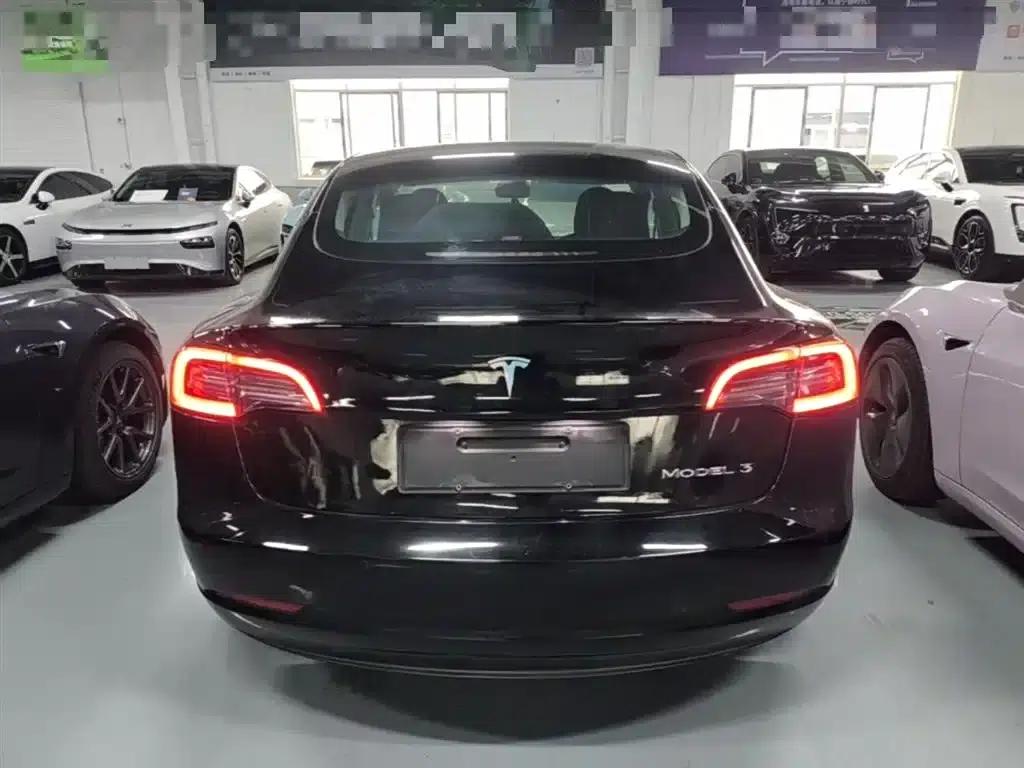 Model 3 2022 Rear-Wheel Drive — миниатюра 6