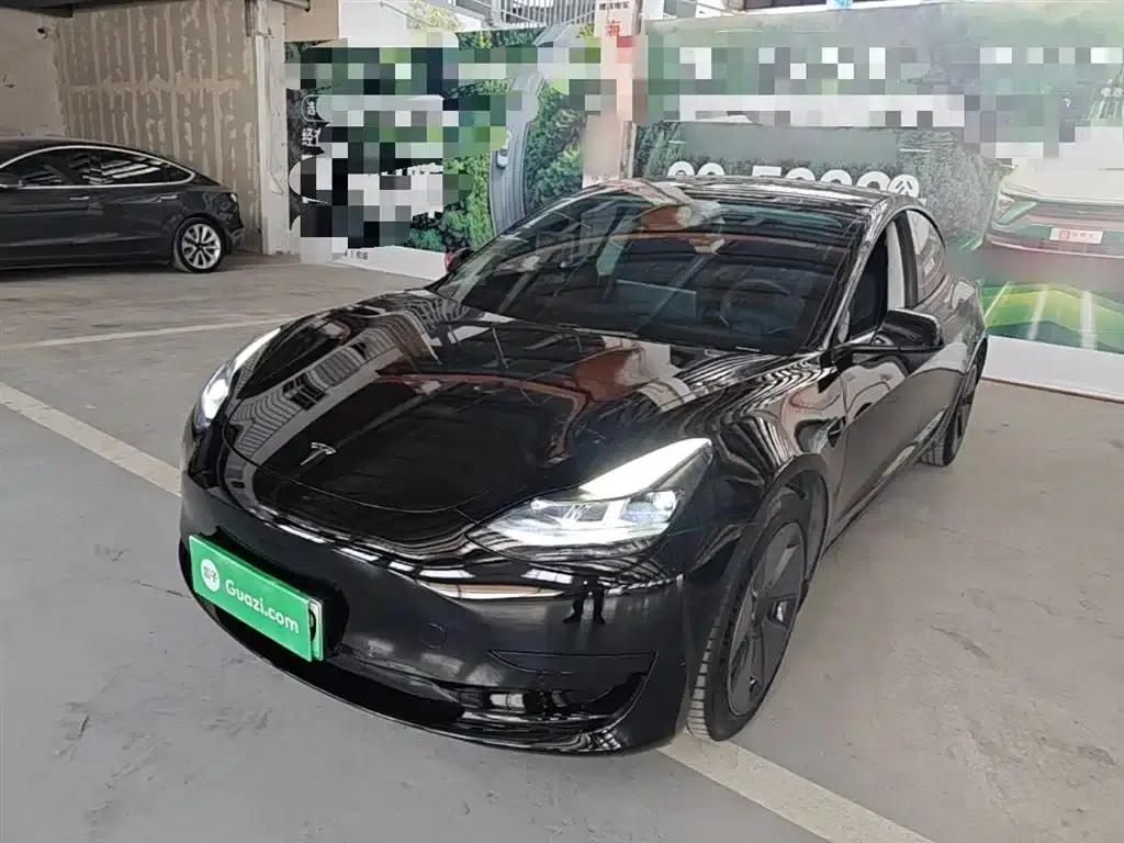 Model 3 2021 Standard Range Rear-Wheel Drive Upgrade — миниатюра 2