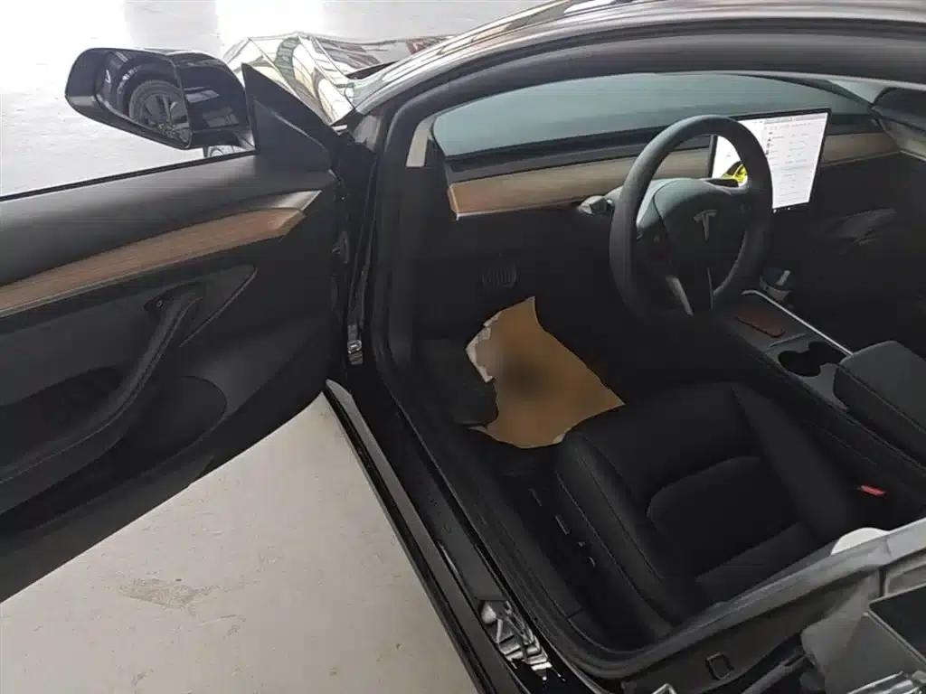 Model 3 2021 Standard Range Rear-Wheel Drive Upgrade — миниатюра 12