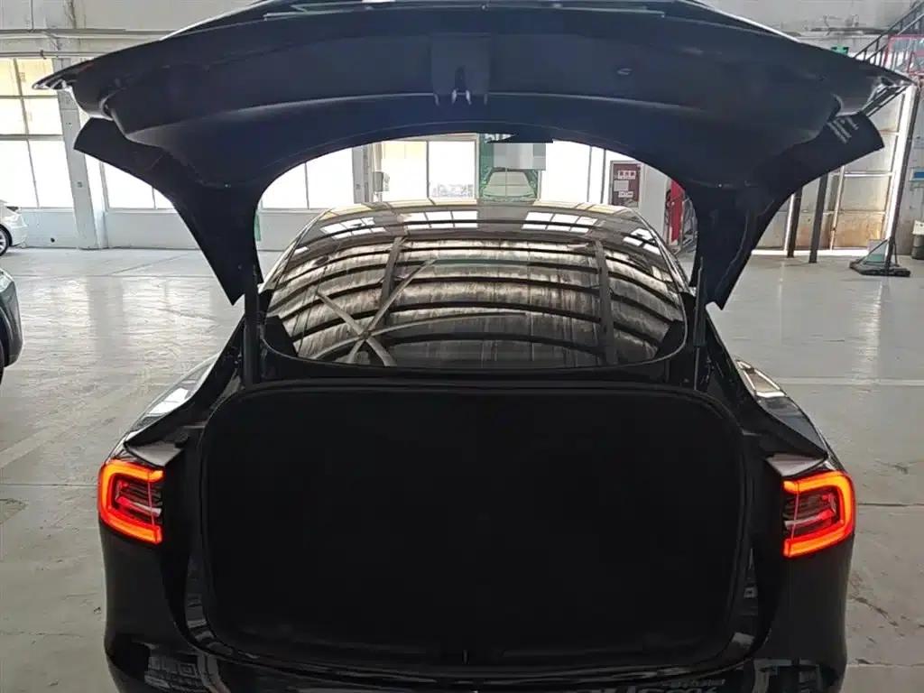 Model 3 2021 Standard Range Rear-Wheel Drive Upgrade — миниатюра 15