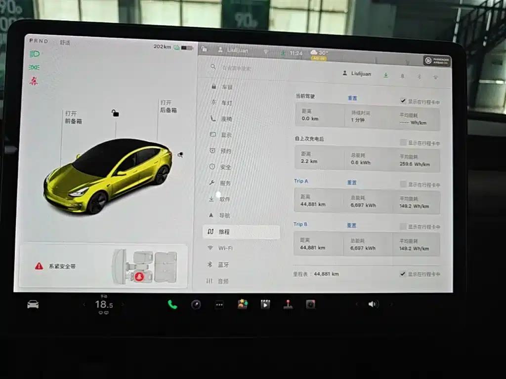 Model 3 2021 Standard Range Rear-Wheel Drive Upgrade — миниатюра 8