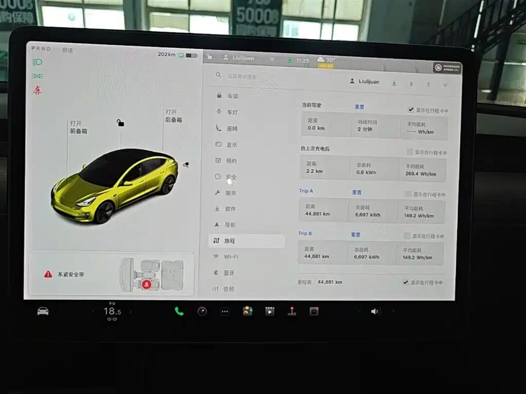 Model 3 2021 Standard Range Rear-Wheel Drive Upgrade — миниатюра 9