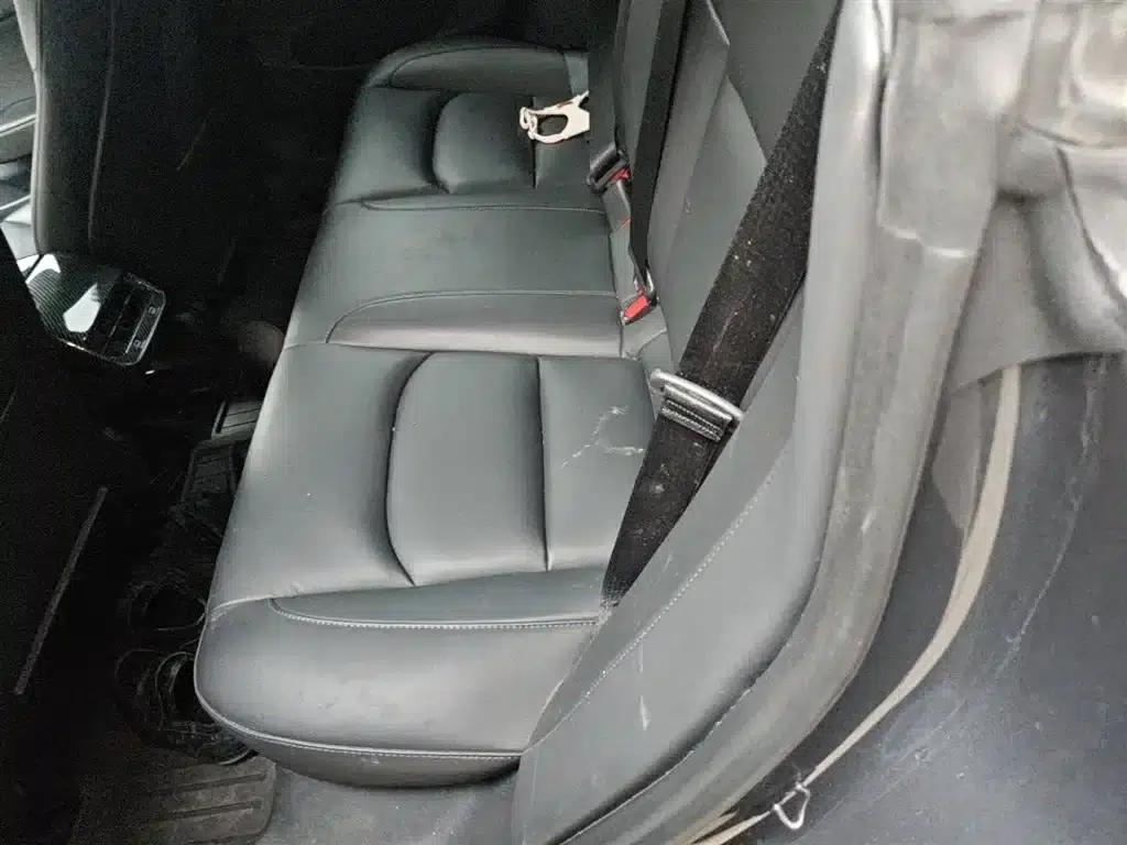 Model 3 2021 Facelift Standard Range Rear-Wheel Drive Upgrade Version 3D1 — миниатюра 17