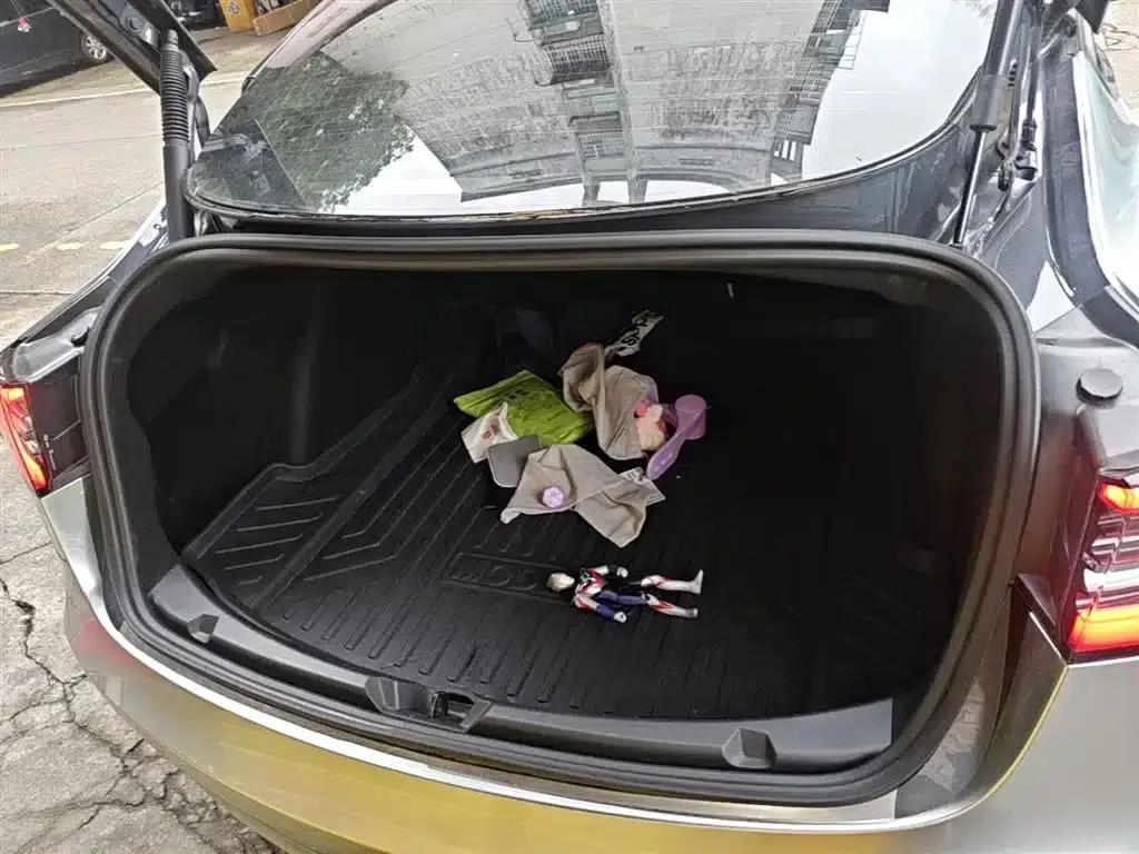 Model 3 2021 Facelift Standard Range Rear-Wheel Drive Upgrade Version 3D1 — миниатюра 19