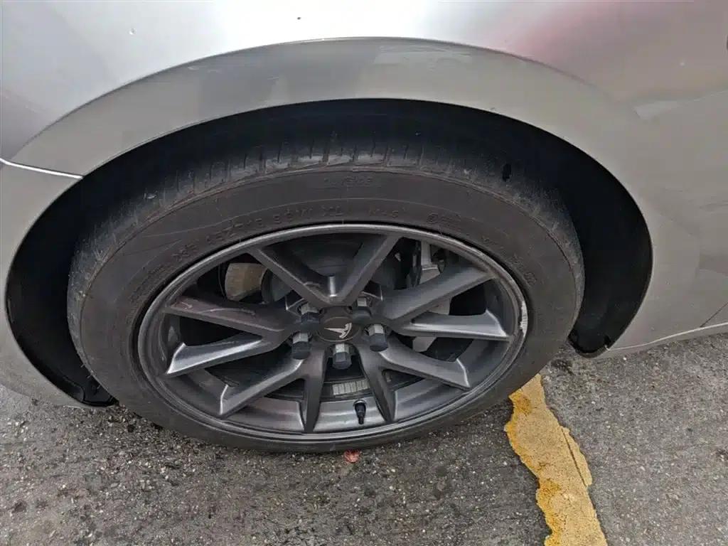 Model 3 2021 Facelift Standard Range Rear-Wheel Drive Upgrade Version 3D1 — миниатюра 23