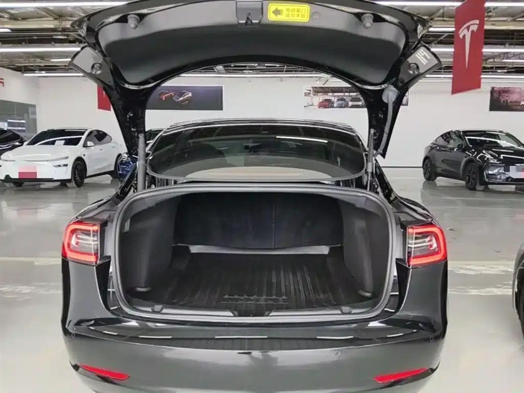 Model 3 2022 Rear-Wheel Drive — миниатюра 15