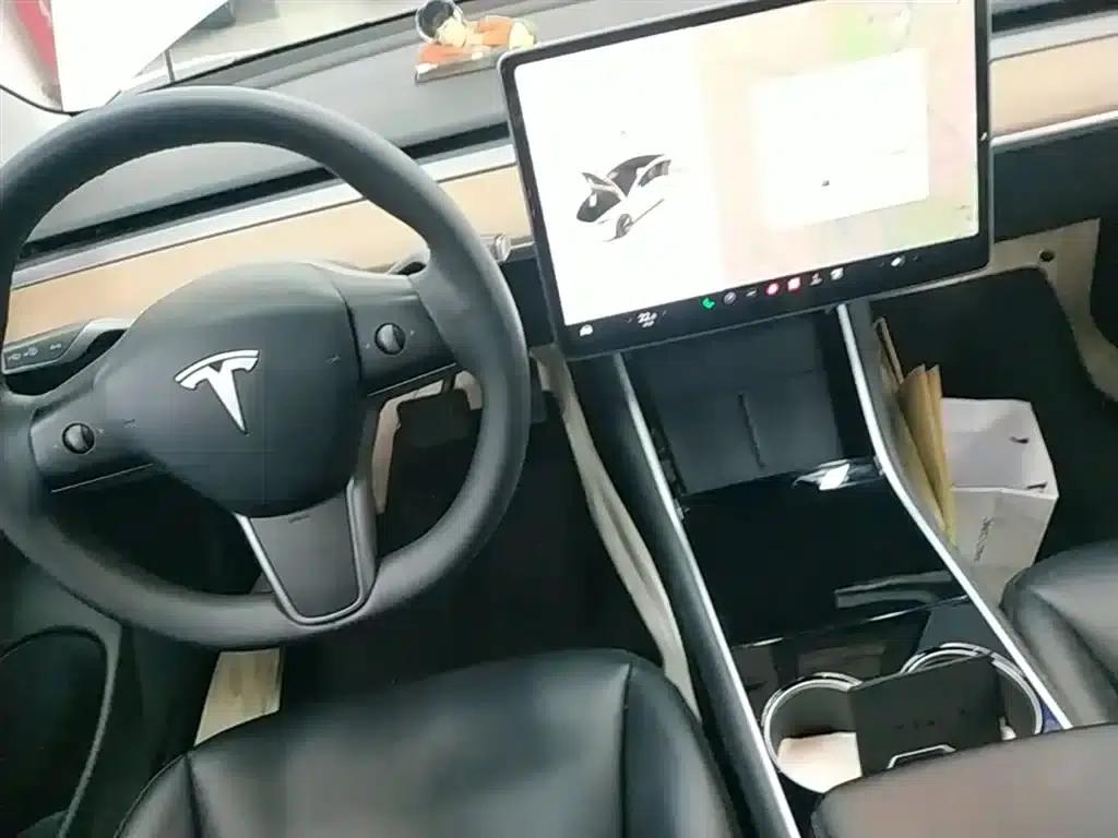 Model 3 2020 Facelift Long Range Rear-Wheel Drive — миниатюра 14