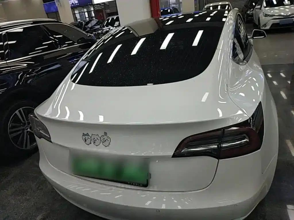 Model 3 2020 Facelift Long Range Rear-Wheel Drive — миниатюра 6